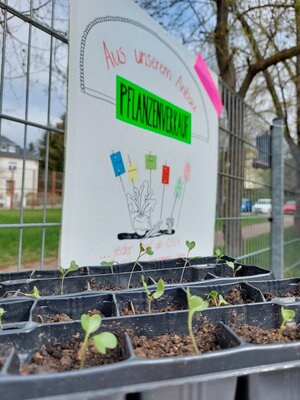 Ank&uuml;ndigung Pflanzenmarkt 2 