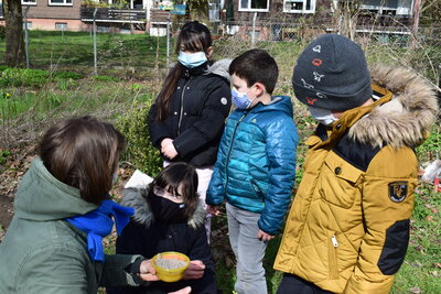 Foto des Albums: Erste Anpflanzung in unserem Schulgarten (14.04.2021)