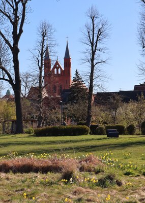 Foto des Albums: Frühjahrsblüher in Kyritz (27.04.2021)
