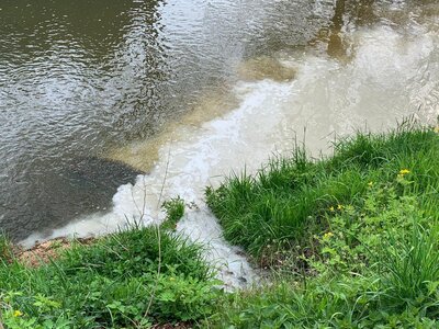 Foto des Albums: 2021-05-03-Einsatz_1 Öl-Gewässer