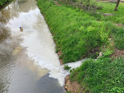 Foto des Albums: 2021-05-03-Einsatz_1 Öl-Gewässer