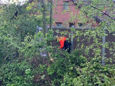 Foto des Albums: 2021-05-04-Einsatz_4 Baum_Straße Leineweberstr.