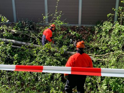 Foto des Albums: 2021-05-04-Einsatz_4 Baum_Straße Leineweberstr.