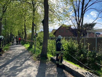 Foto des Albums: 2021-05-04-Einsatz_4 Baum_Straße Leineweberstr.