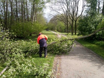 Foto des Albums: 2021-05-04-Einsatz_5 Baum_Straße Am Torfmoorsee