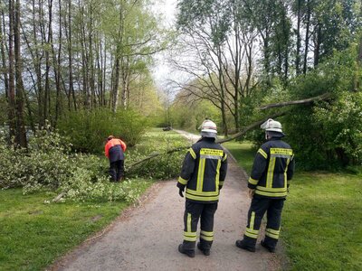 Foto des Albums: 2021-05-04-Einsatz_5 Baum_Straße Am Torfmoorsee