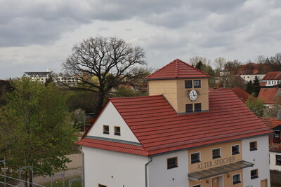 Foto des Albums: Ein- und Ausblicke Klosterviertel Kyritz (05.05.2021)