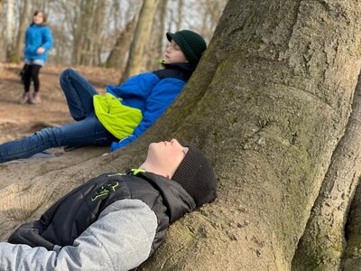 Foto des Albums: Waldausflug der Klasse 4b