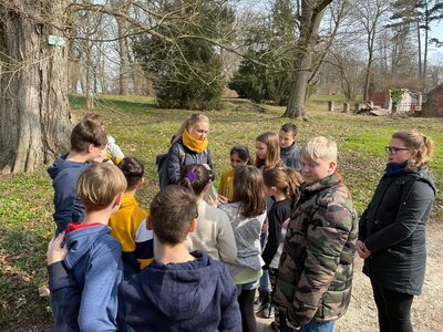 Foto des Albums: Waldausflug der Klasse 4b