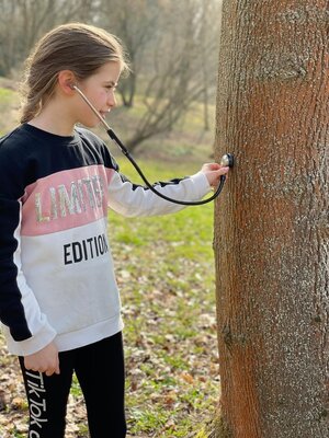 Foto des Albums: Waldausflug der Klasse 4b