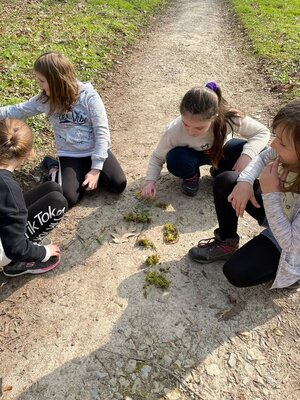 Foto des Albums: Waldausflug der Klasse 4b