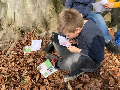 Foto des Albums: Waldausflug der Klasse 4b