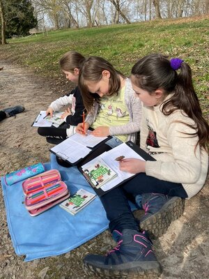 Foto des Albums: Waldausflug der Klasse 4b