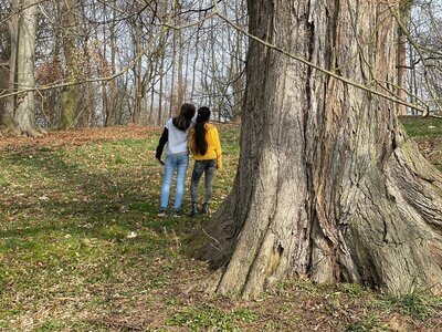 Foto des Albums: Waldausflug der Klasse 4b