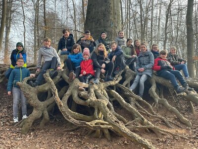 Foto des Albums: Waldausflug der Klasse 4b