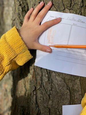 Foto des Albums: Waldausflug der Klasse 4b