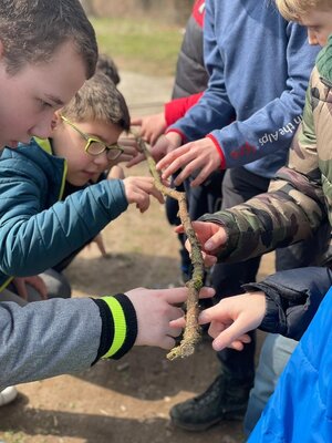 Foto des Albums: Waldausflug der Klasse 4b