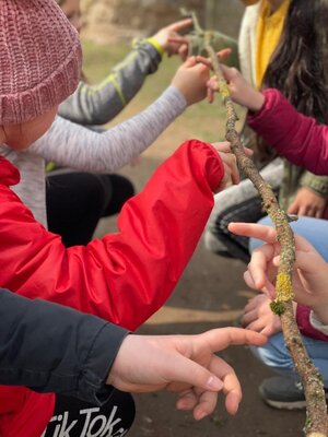 Foto des Albums: Waldausflug der Klasse 4b