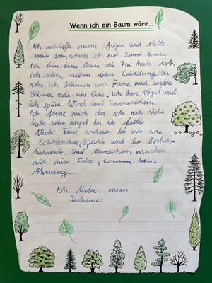 Foto des Albums: Waldausflug der Klasse 4b