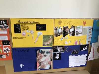Foto des Albums: Plakate 