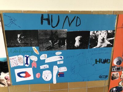 Foto des Albums: Plakate 
