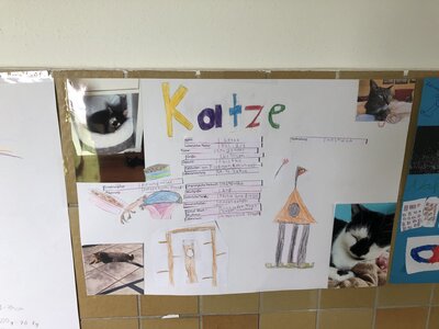 Foto des Albums: Plakate 
