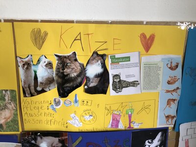 Foto des Albums: Plakate 