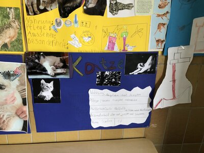 Foto des Albums: Plakate 
