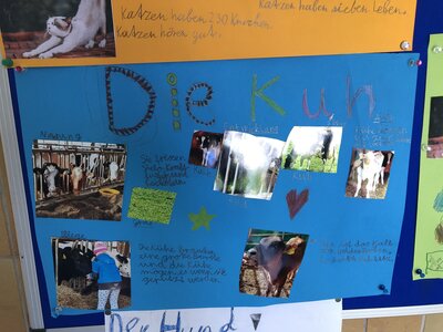 Foto des Albums: Plakate 