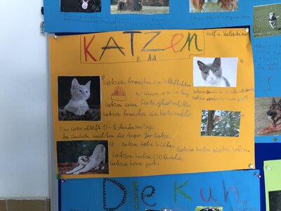 Foto des Albums: Plakate 