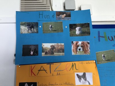 Foto des Albums: Plakate 