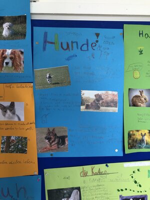 Foto des Albums: Plakate 