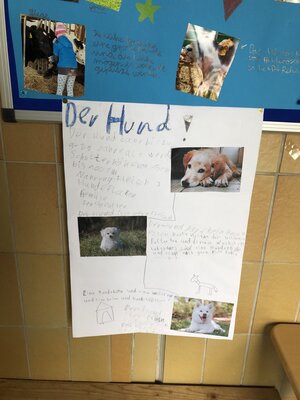Foto des Albums: Plakate 