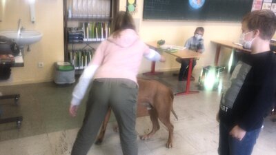 Foto des Albums: Thabobesuch im 1. Schuljahr