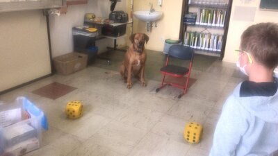 Foto des Albums: Thabobesuch im 1. Schuljahr