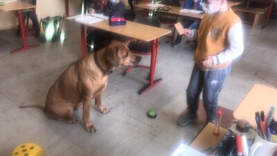 Foto des Albums: Thabobesuch im 1. Schuljahr
