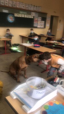 Foto des Albums: Thabobesuch im 1. Schuljahr