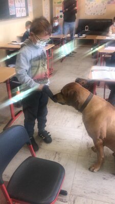 Foto des Albums: Thabobesuch im 1. Schuljahr