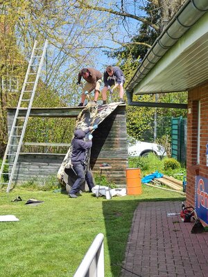Foto des Albums: Platzdienst