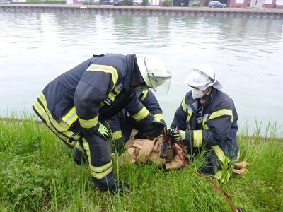 Foto des Albums: Tierrettung