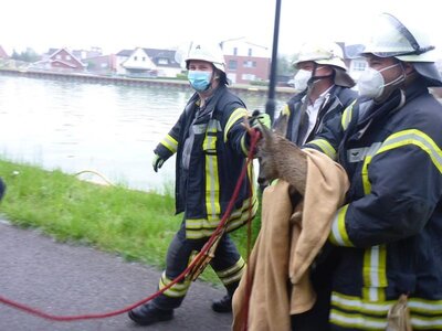 Foto des Albums: Tierrettung