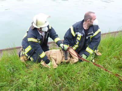 Foto des Albums: Tierrettung