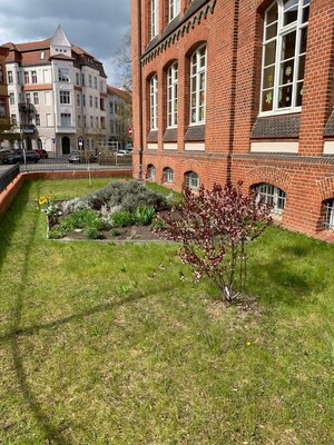 Foto des Albums: Frühjahrsputz