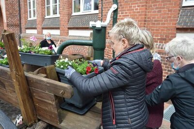 Foto des Albums: Frühjahrsputz