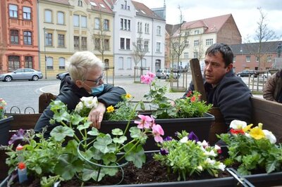 Foto des Albums: Frühjahrsputz