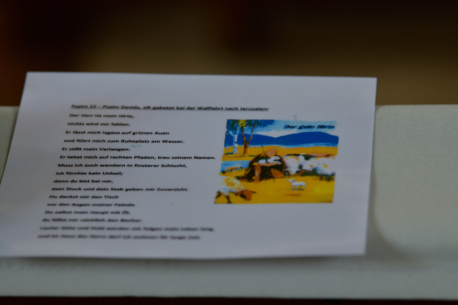 Bild der Galerie