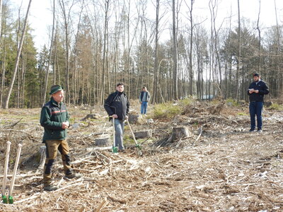 Foto des Albums: Pflanzaktion der Schreiner