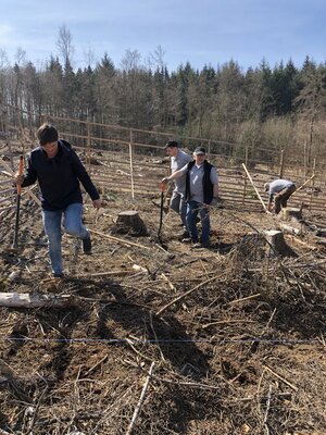 Foto des Albums: Pflanzaktion der Schreiner