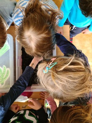 Foto des Albums: Frühling - Kräuter und Gemüse aussäen und stecken