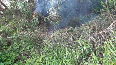Foto des Albums: Rauchentwicklung Gelände - Im Schacht